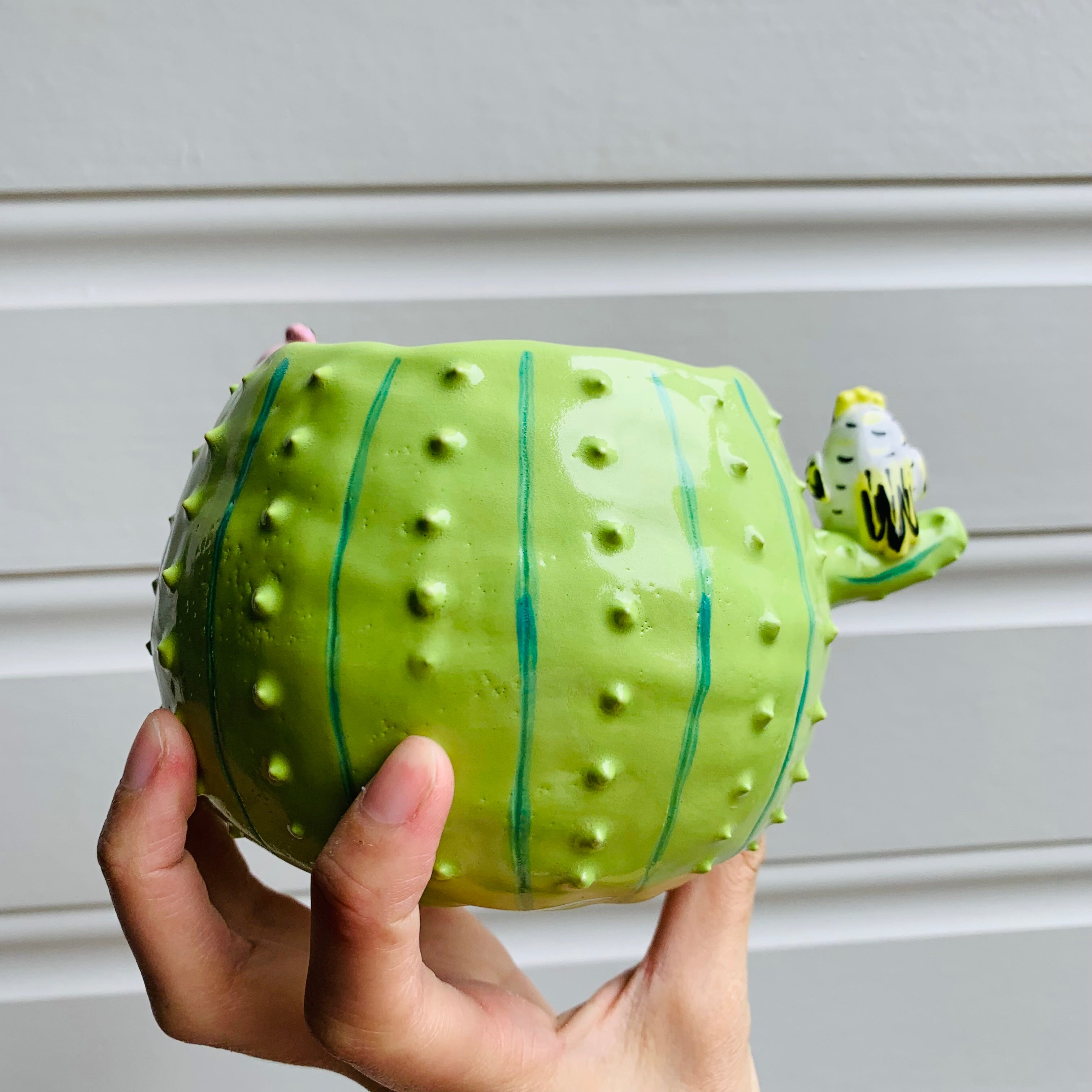 Flowery cactus pot with Aussie bird friends