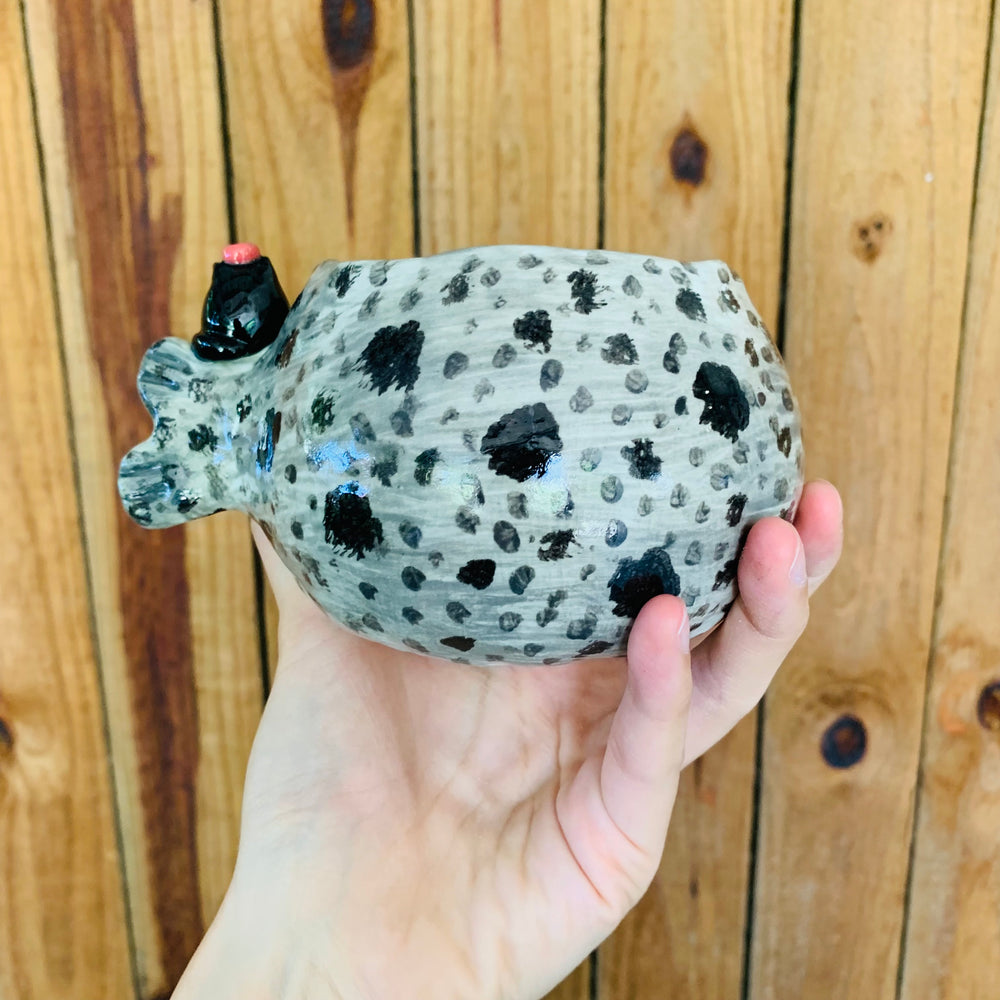 Chubby spotted seal with black cat friends pot, photo 4 of 7