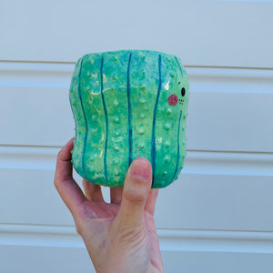 Peanut shape cactus pot planter