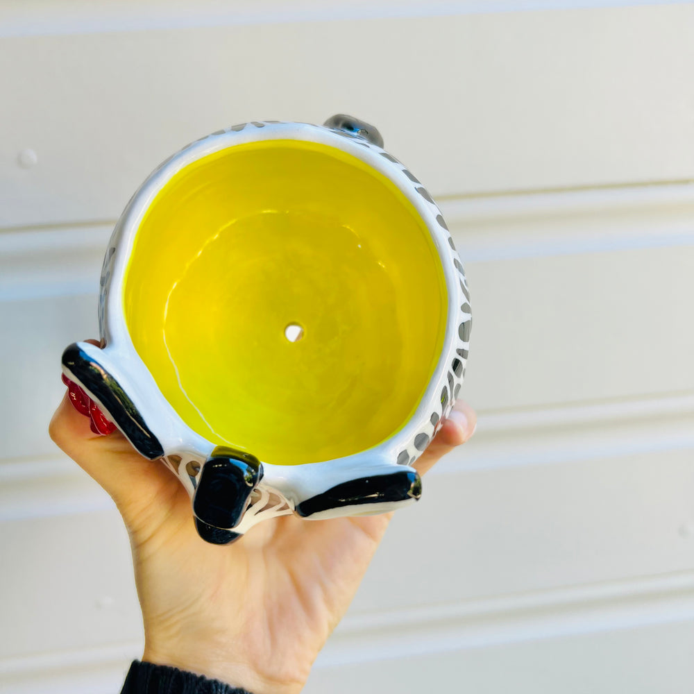 Zebra pot, photo 5 of 5