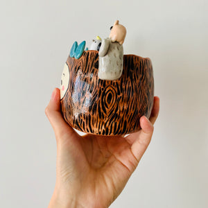 ‘Aussie Hope’ pot