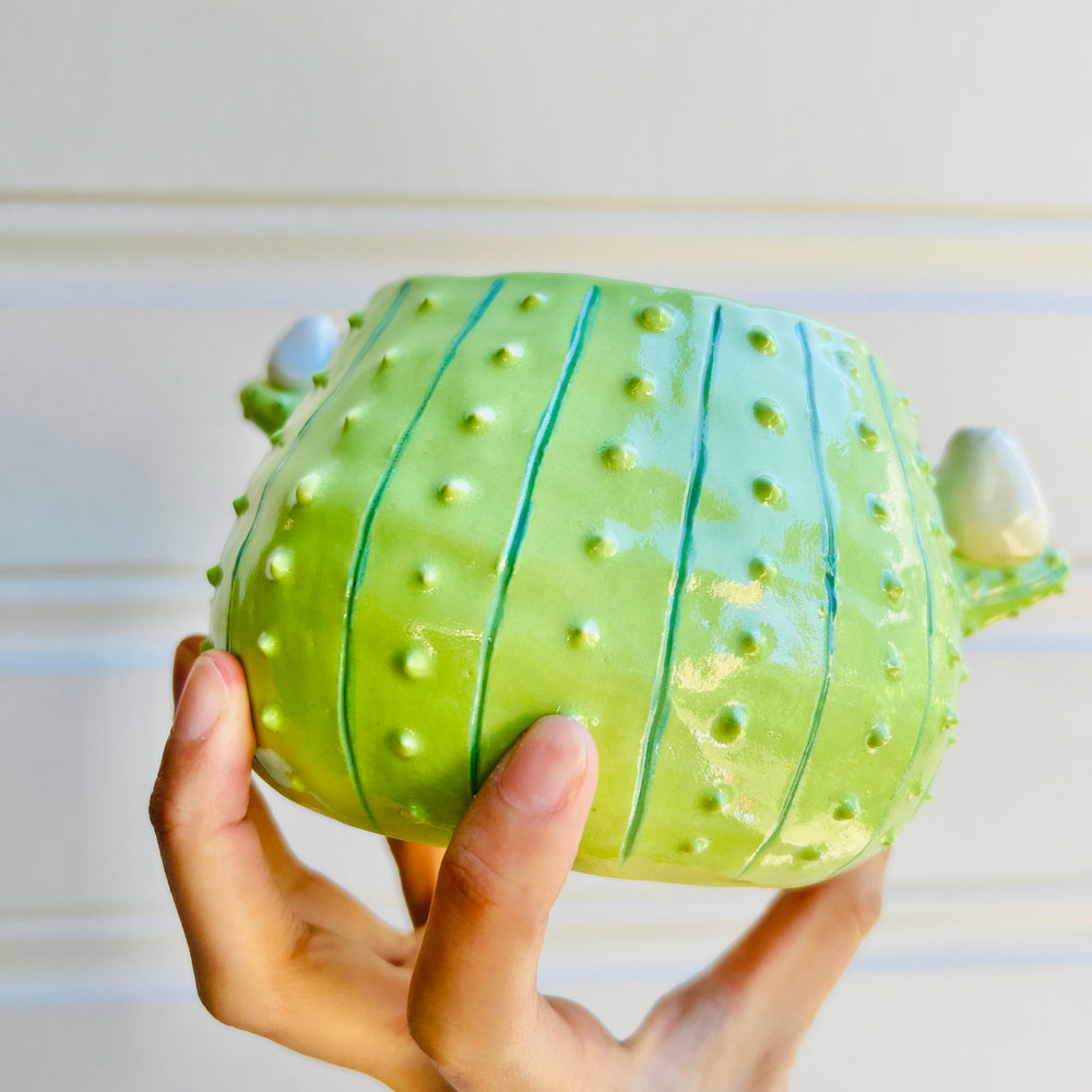 Flowery cactus pot with dumpling friends, photo 4 of 5