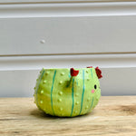 Flowery Cactus Pot