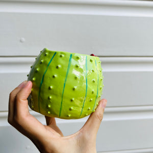 SECONDS: Flowery cactus pot with koala friend