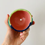 Rainbow lorikeet pot