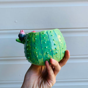 Dark green flowery cactus pot with Aussie bird friends