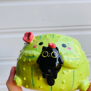 Flowery cactus pot with black cat friend