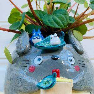 TOTORO and friends with bubble tea planter