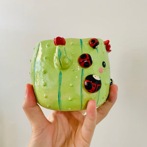 Flowery cactus pot with lady bug friends