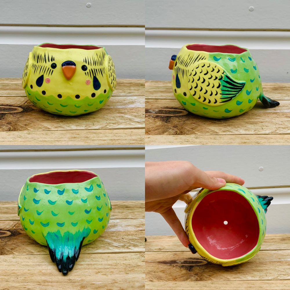 !! SECONDS !! - Yellow and Green Budgie Pot, photo 2 of 3