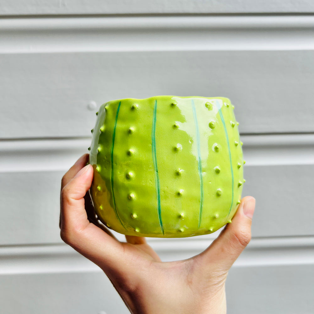 Flowery Cactus pot with bubble tea friend, photo 4 of 5