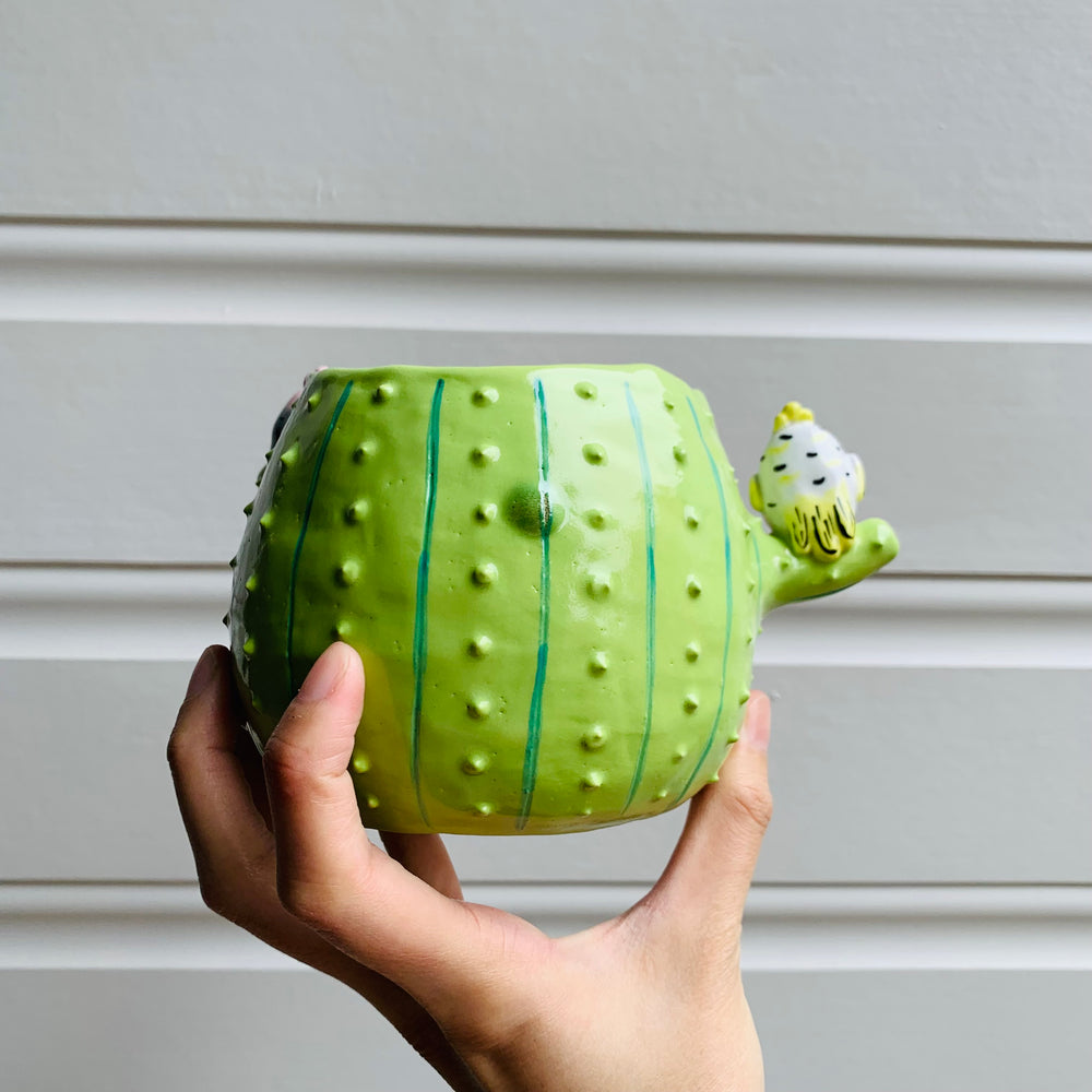 Flowery cactus pot with Aussie bird friends, photo 5 of 7