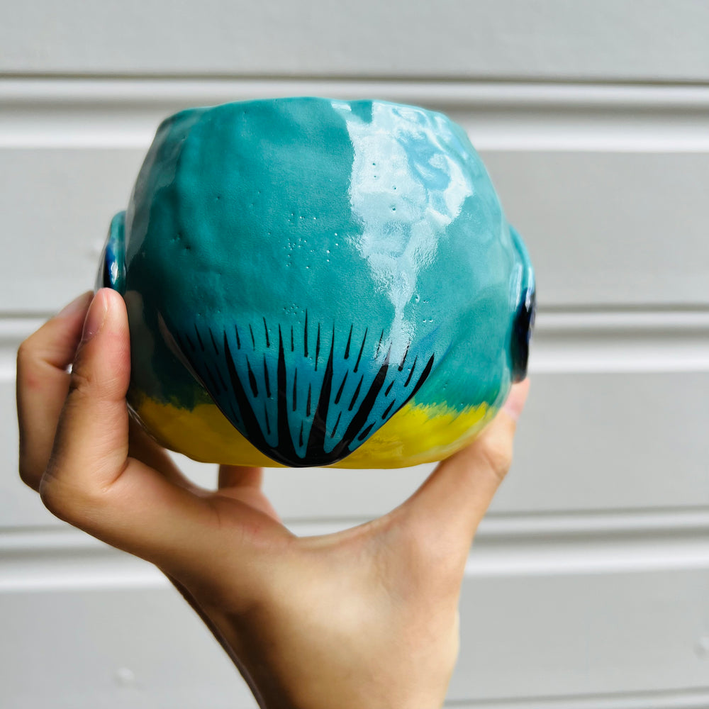 Orange Bellied parrot pot, photo 7 of 11