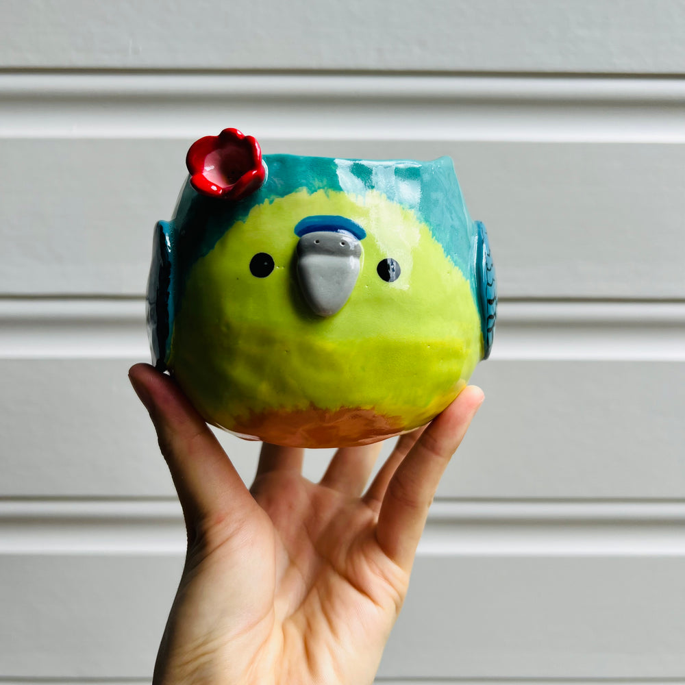 Orange Bellied parrot pot, photo 1 of 11