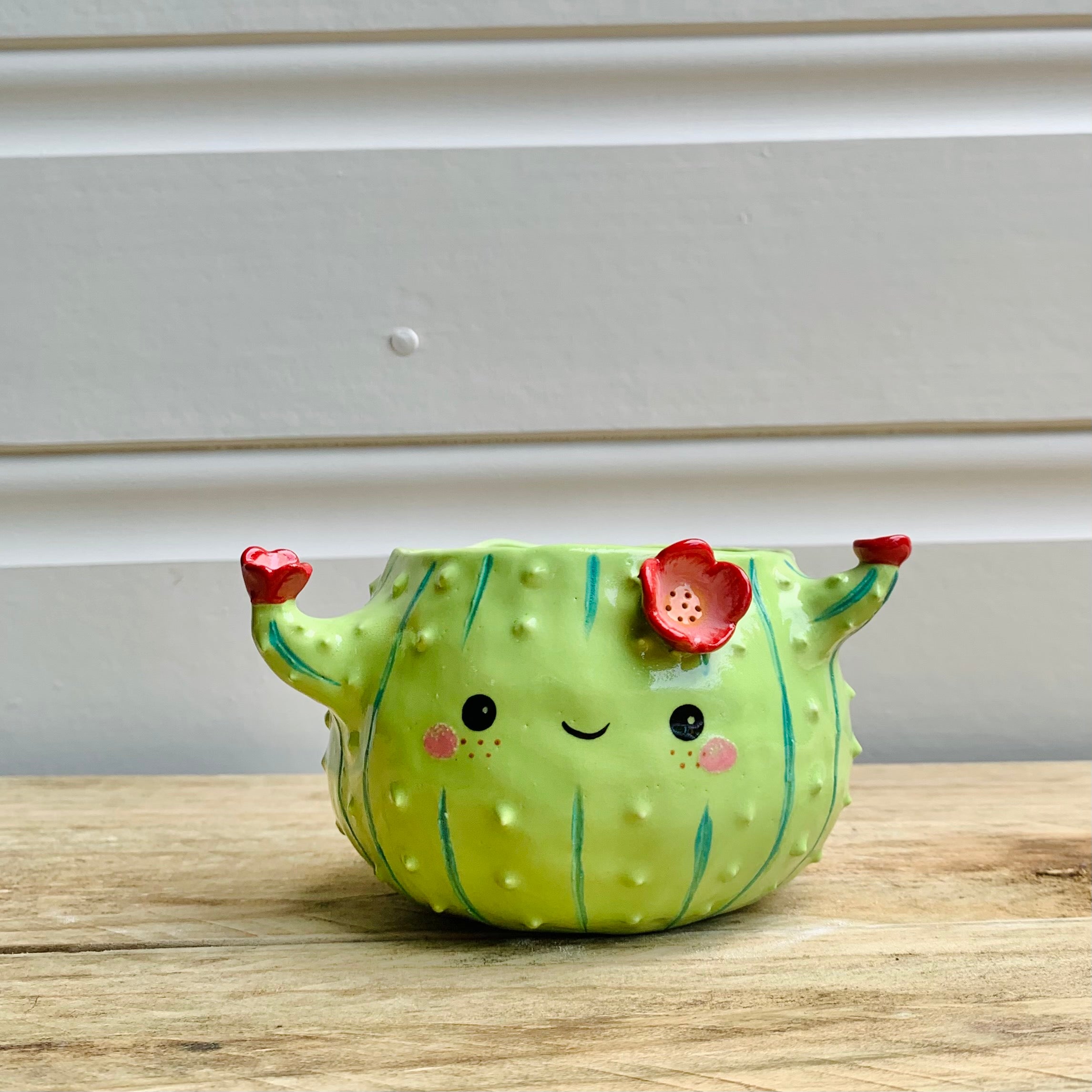 Flowery Cactus Pot