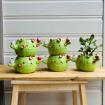 Flowery cactus pot with Aussie bird friends