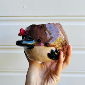 Flowery Platypus Pot