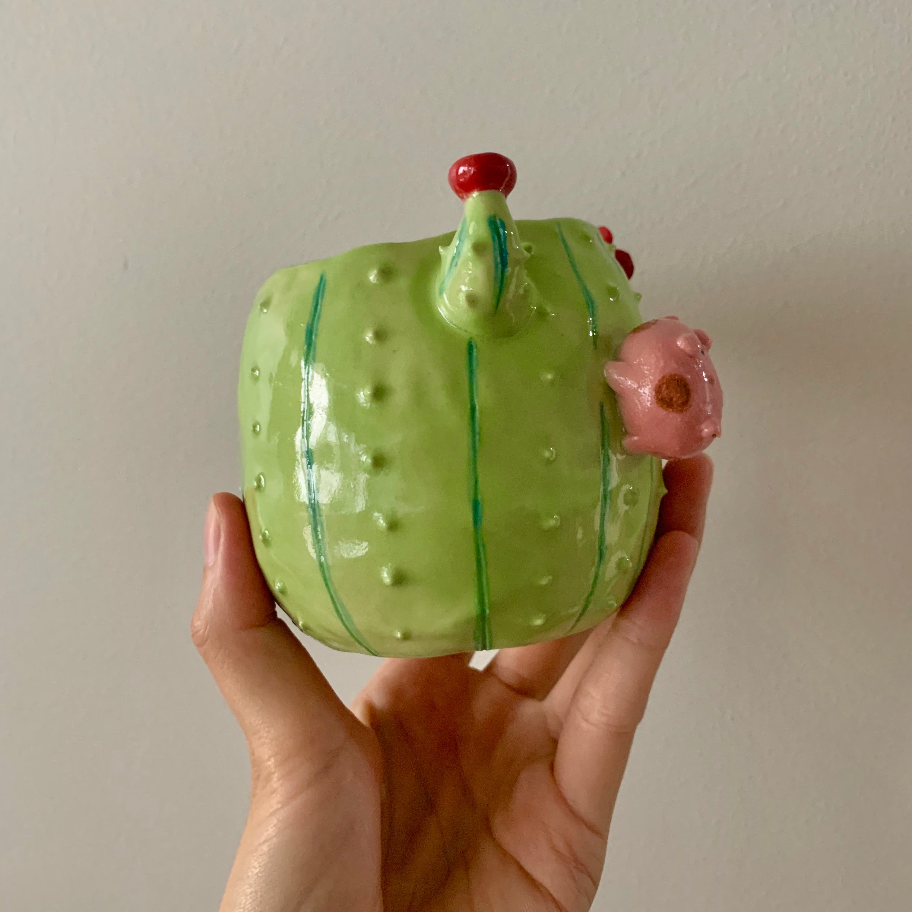 Flowery cactus pot with pig friend