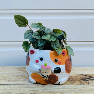 Spotty cat with bubble tea friend planter