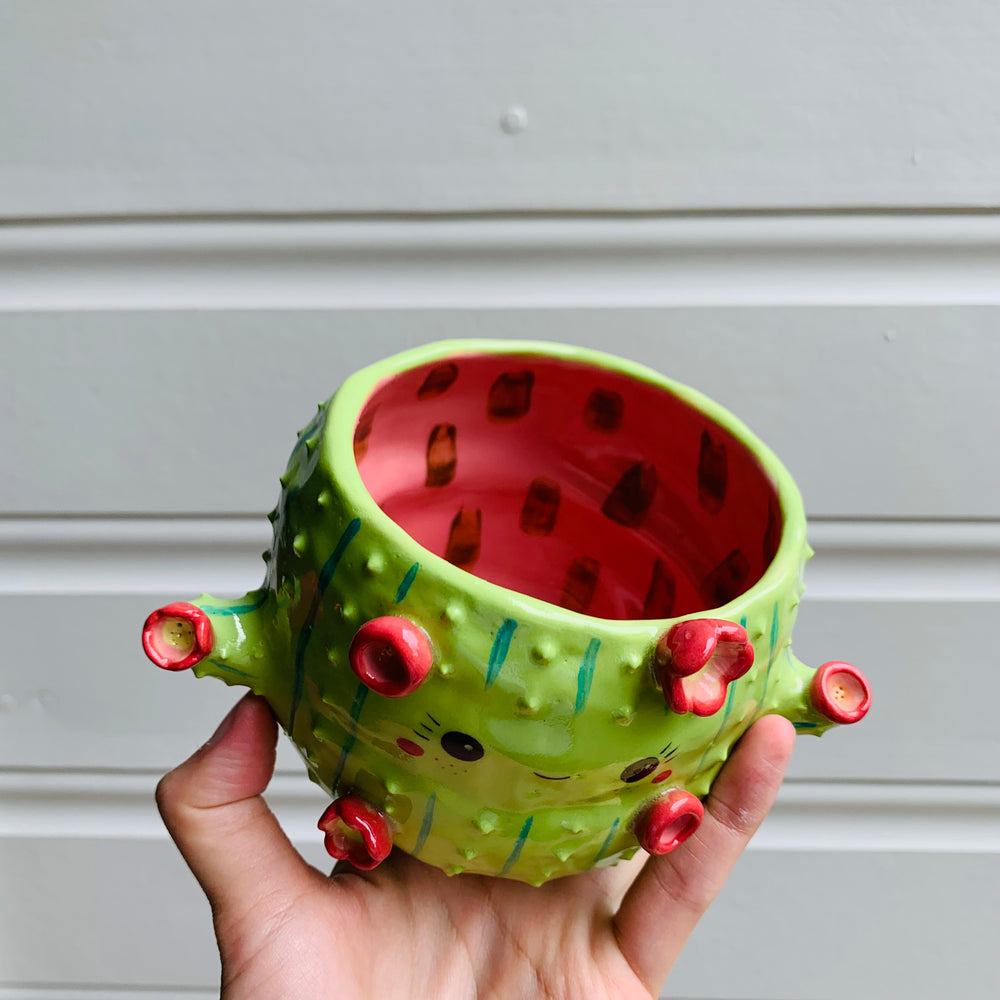 Flowery cactus pot, photo 7 of 8