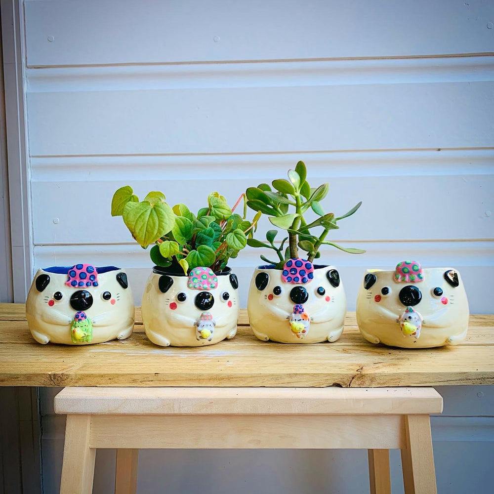Bath time Puggo with Cactus friend pot, photo 8 of 8