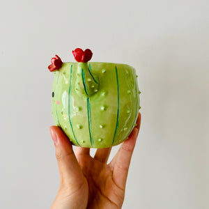 Flowery cactus pot