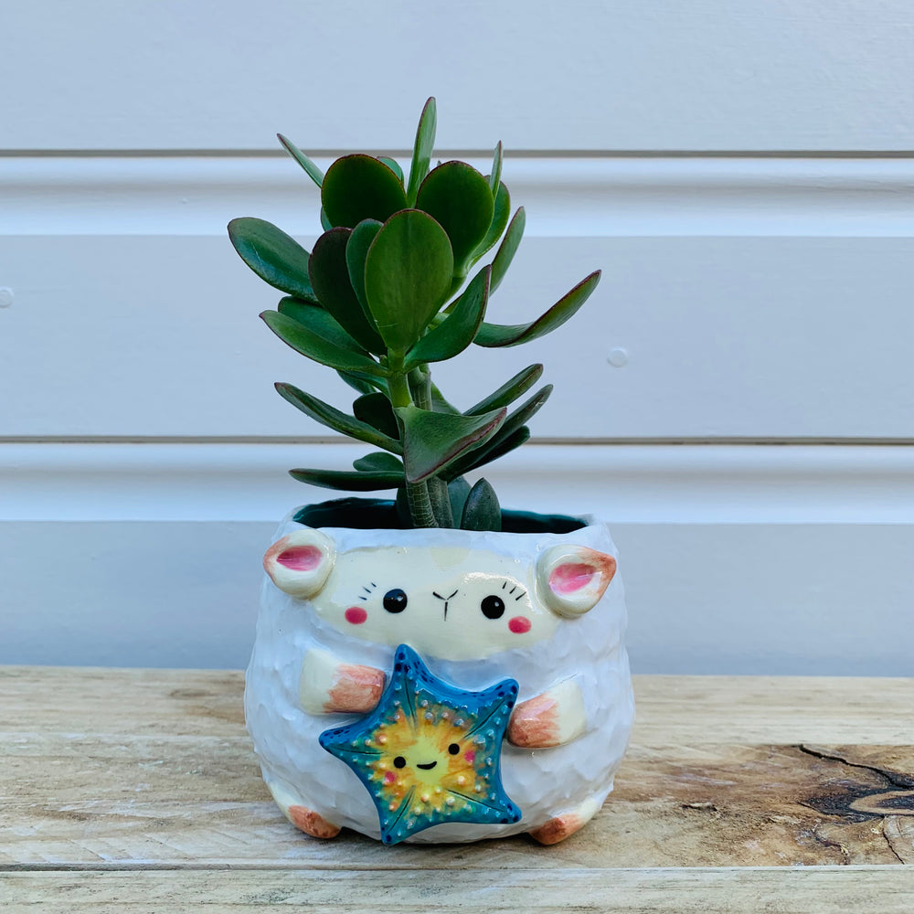 Big lamb with starfish friend planter, photo 8 of 10
