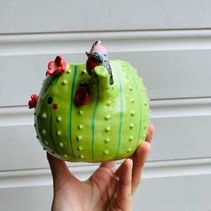 Flowery cactus pot with Aussie bird friends