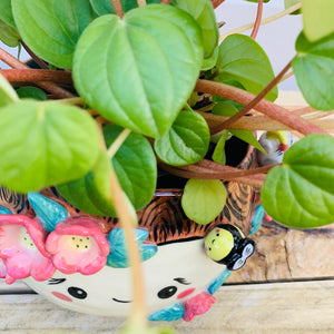 Happy flowery tree with bees and sleepy cats planter