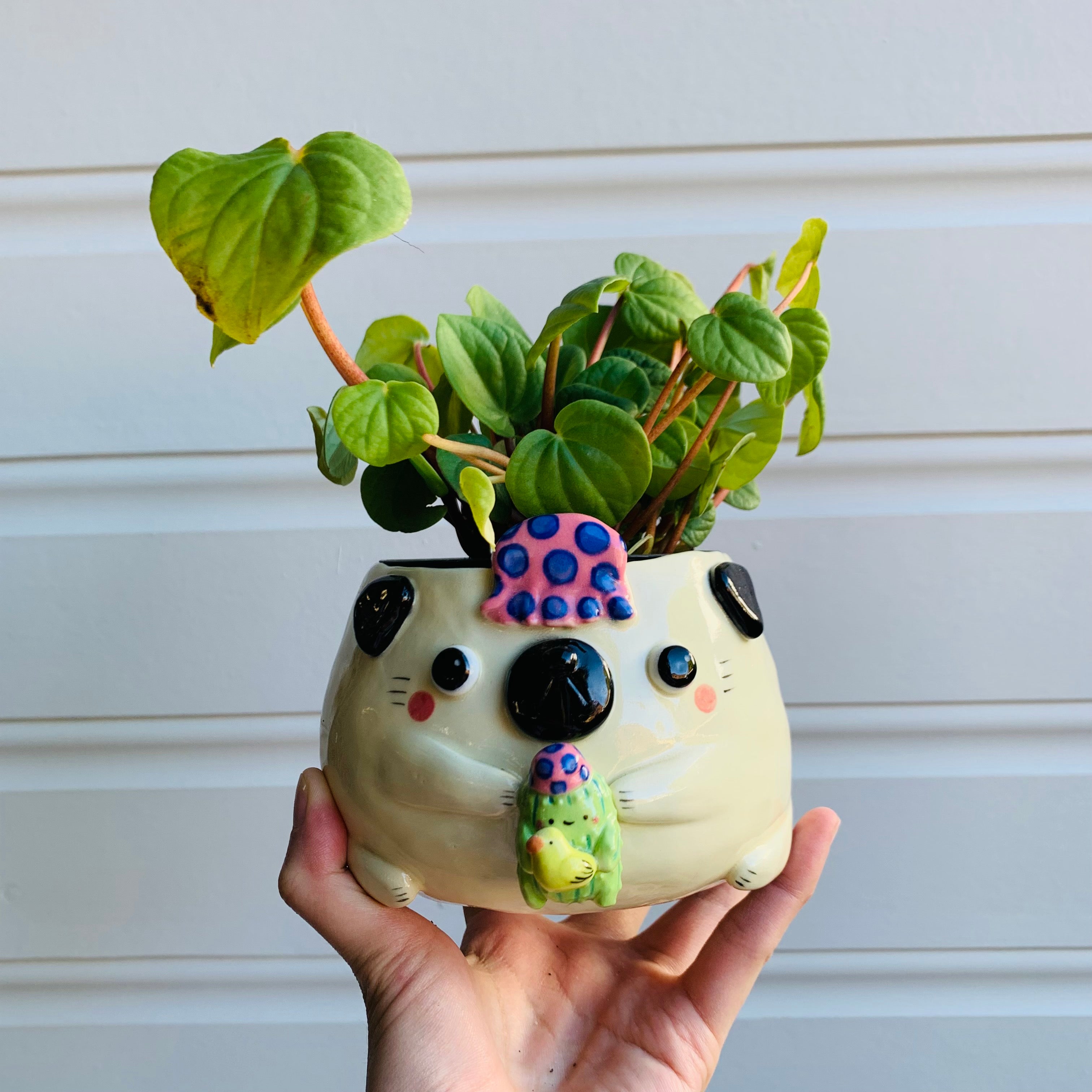 Bath time Puggo with Cactus friend pot