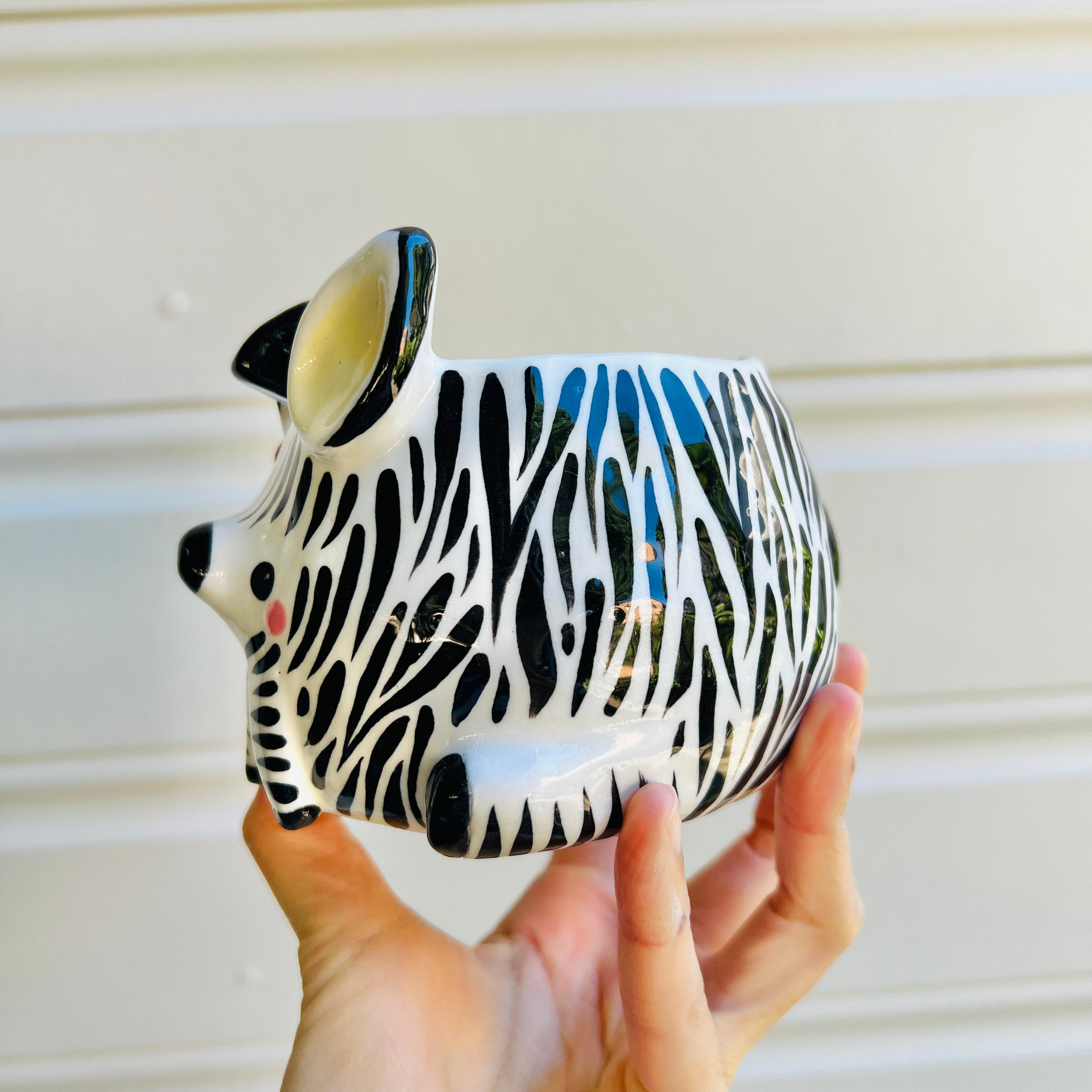 Zebra pot