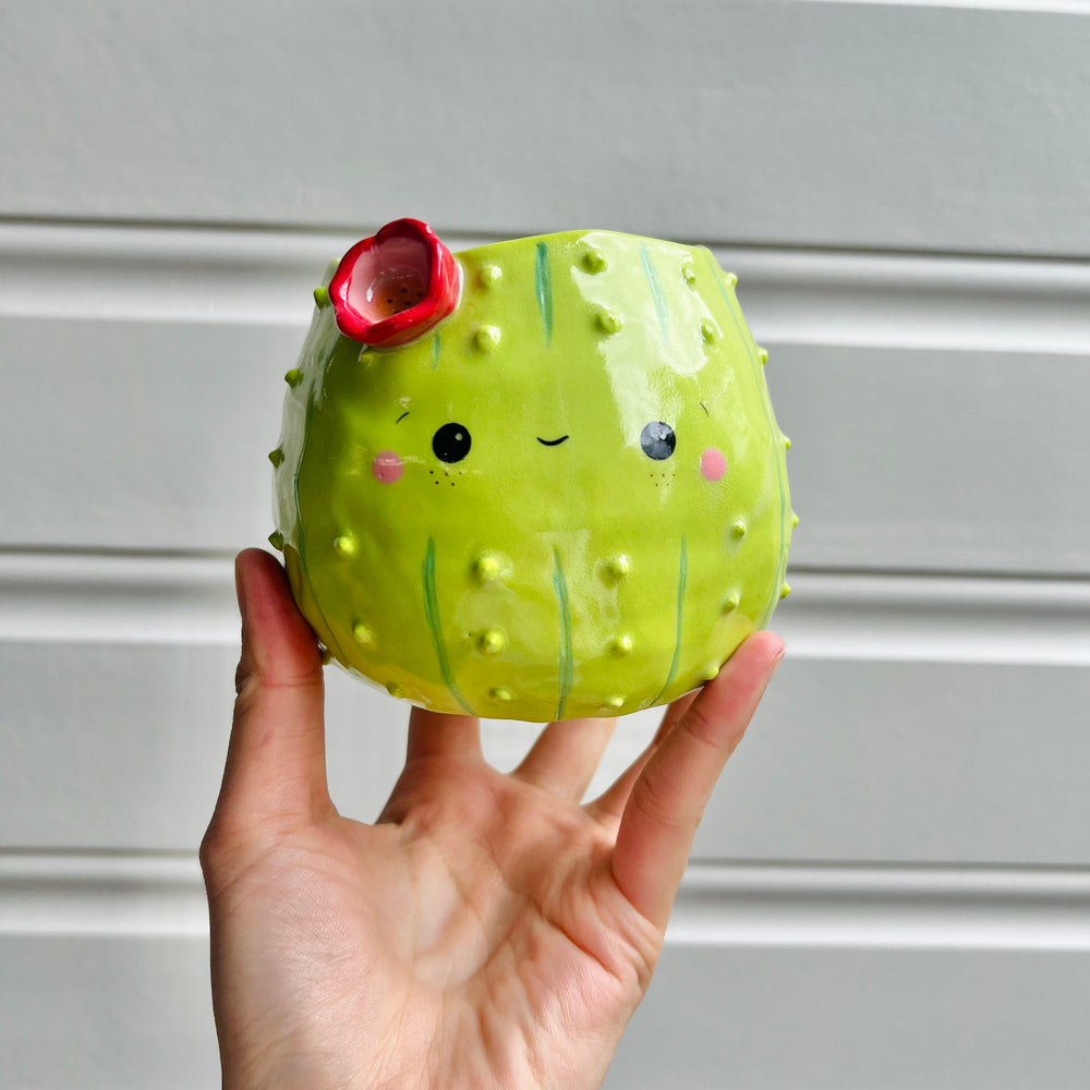 Flowery cactus pot, photo 1 of 7