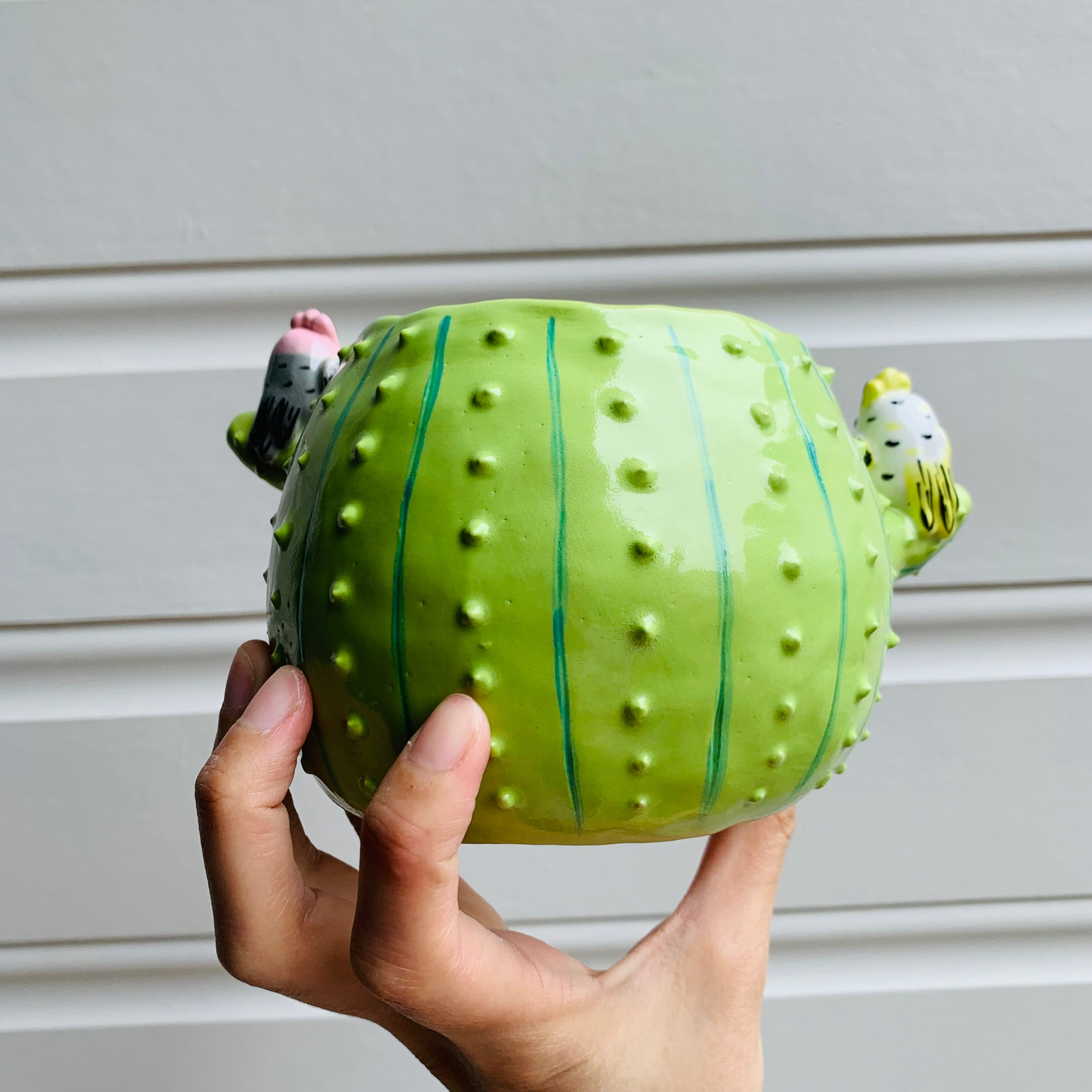 Flowery cactus pot with Aussie bird friends