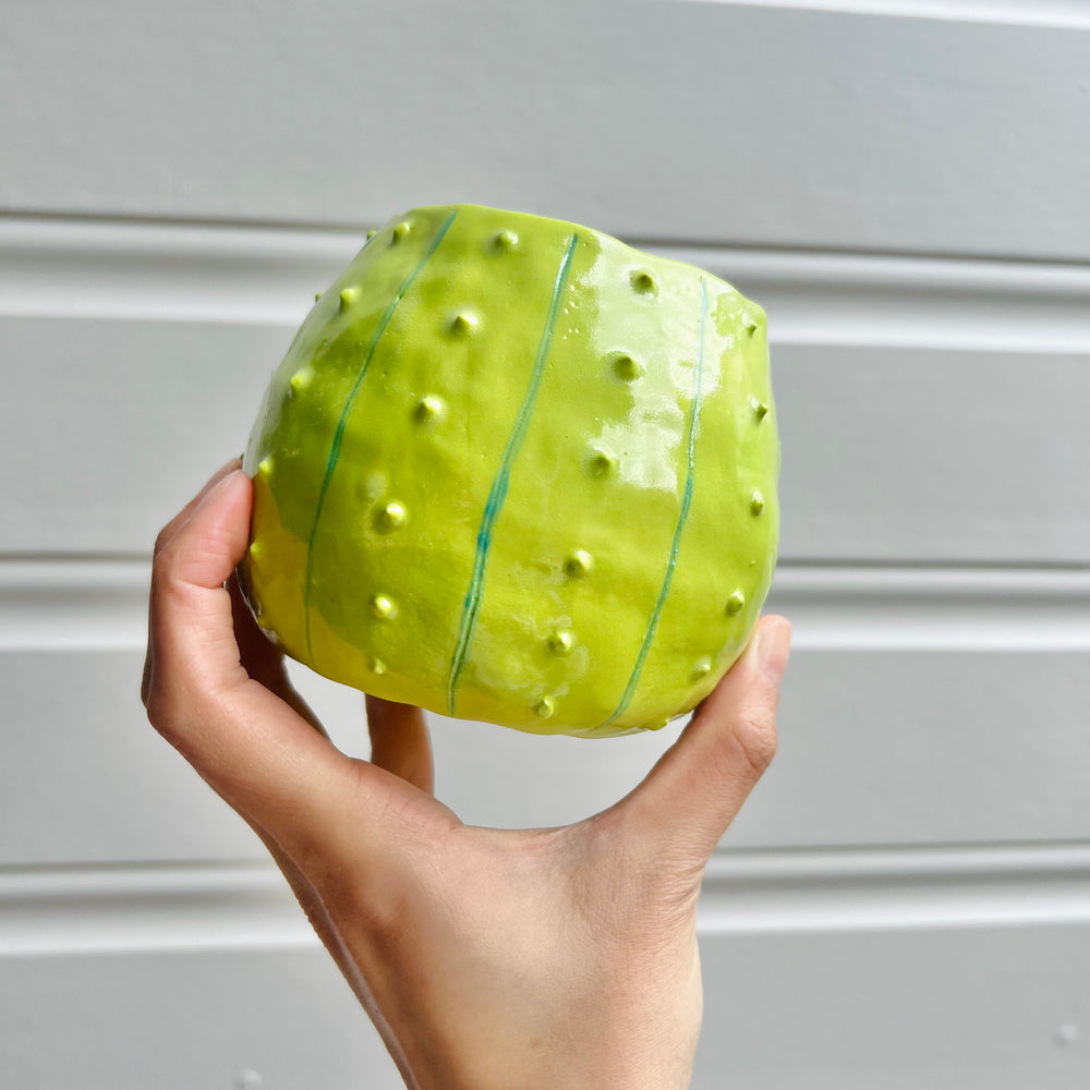 Flowery cactus pot, photo 5 of 7