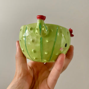 Flowery cactus pot