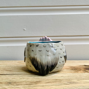 Pink Galah Pot