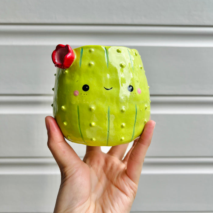 Flowery cactus pot