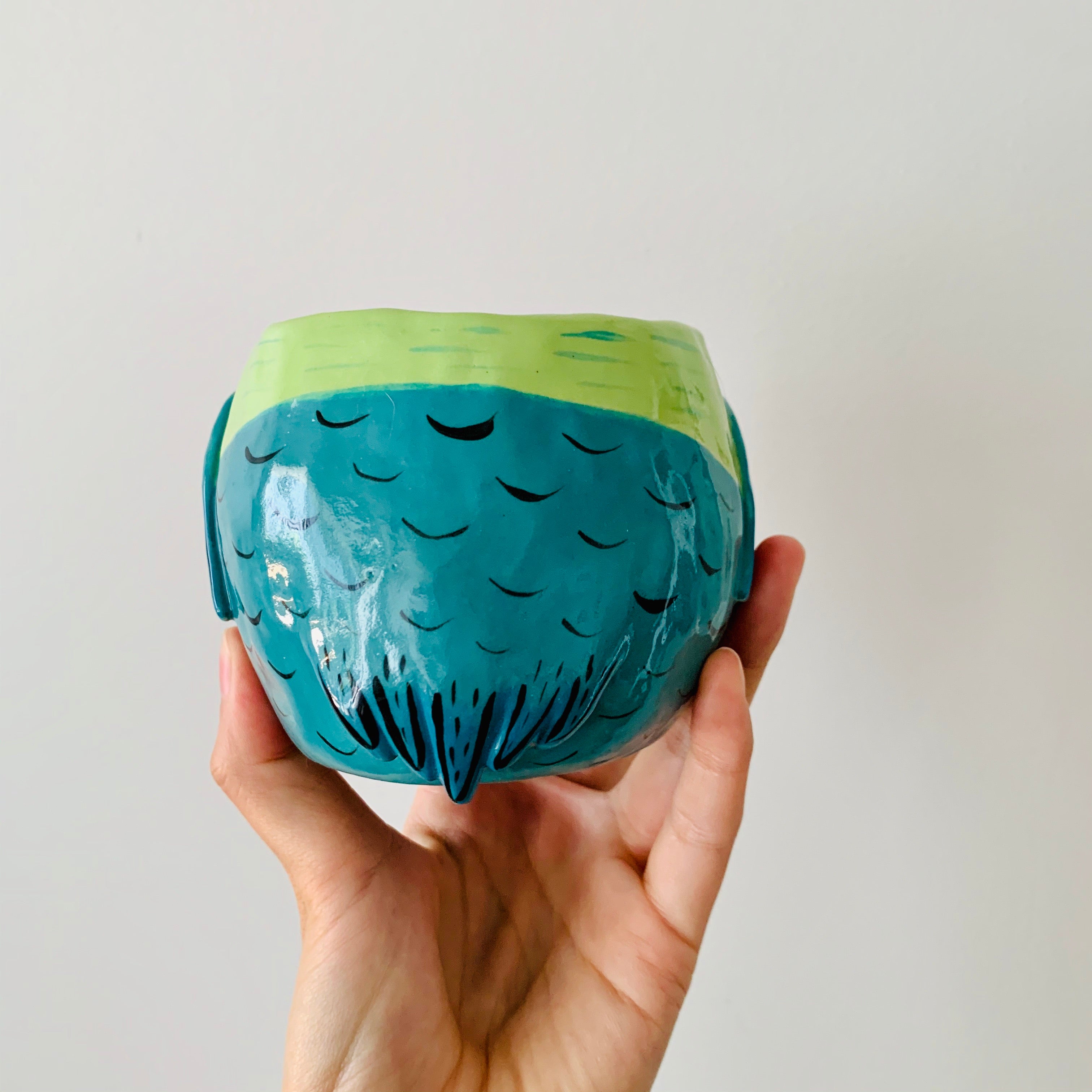 Rainbow lorikeet pot