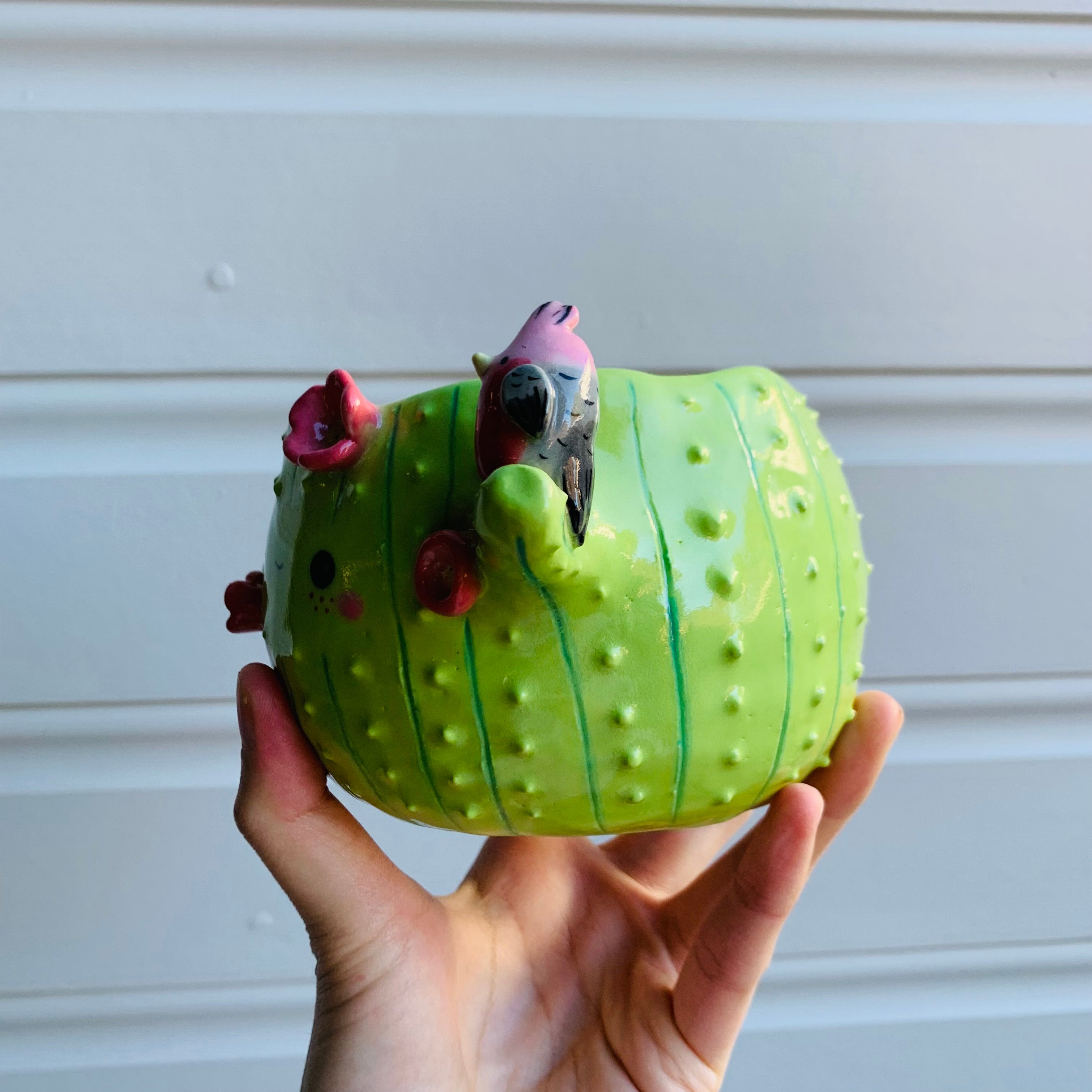 Light green flowery cactus pot with Aussie bird friends