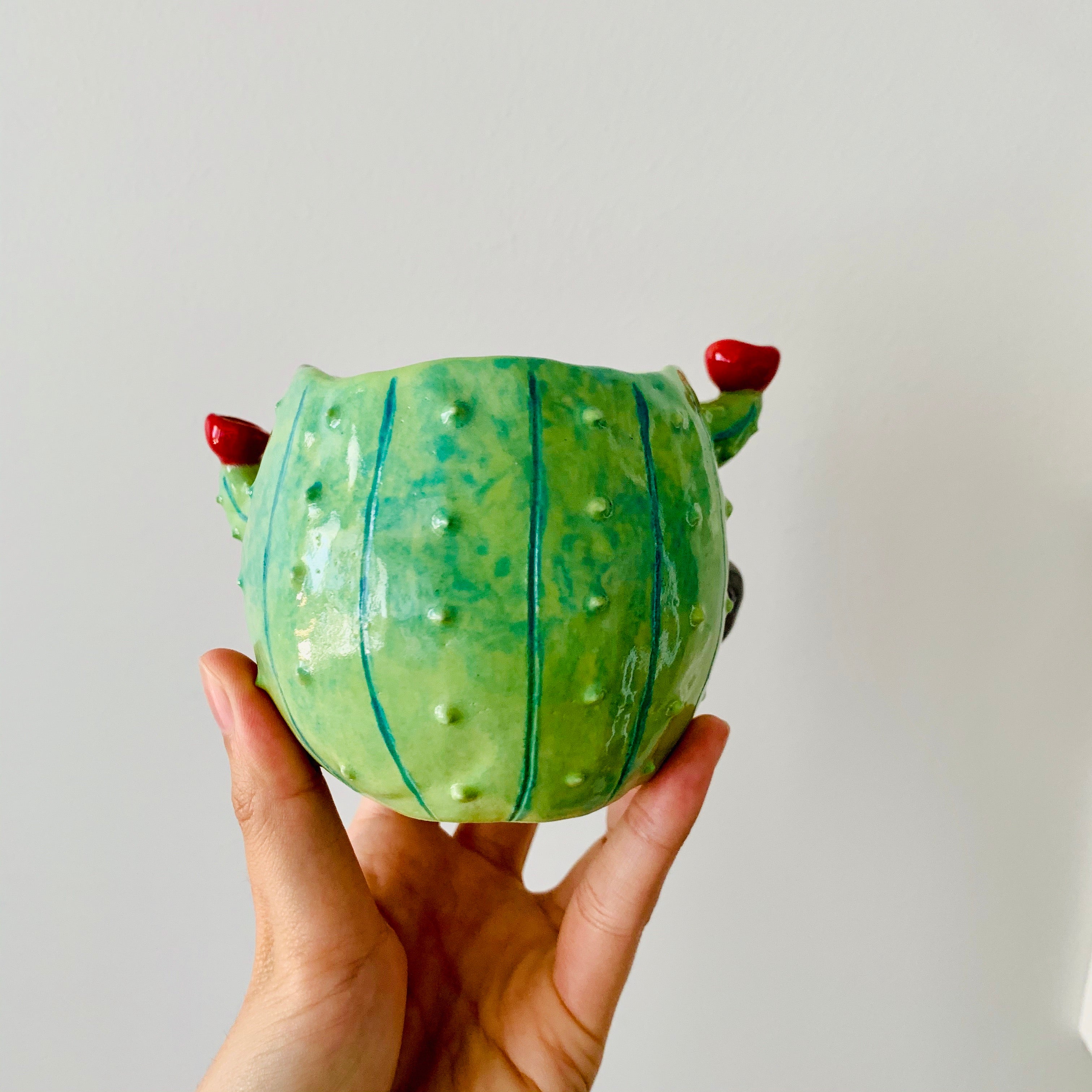 Flowery cactus pot with koala friend
