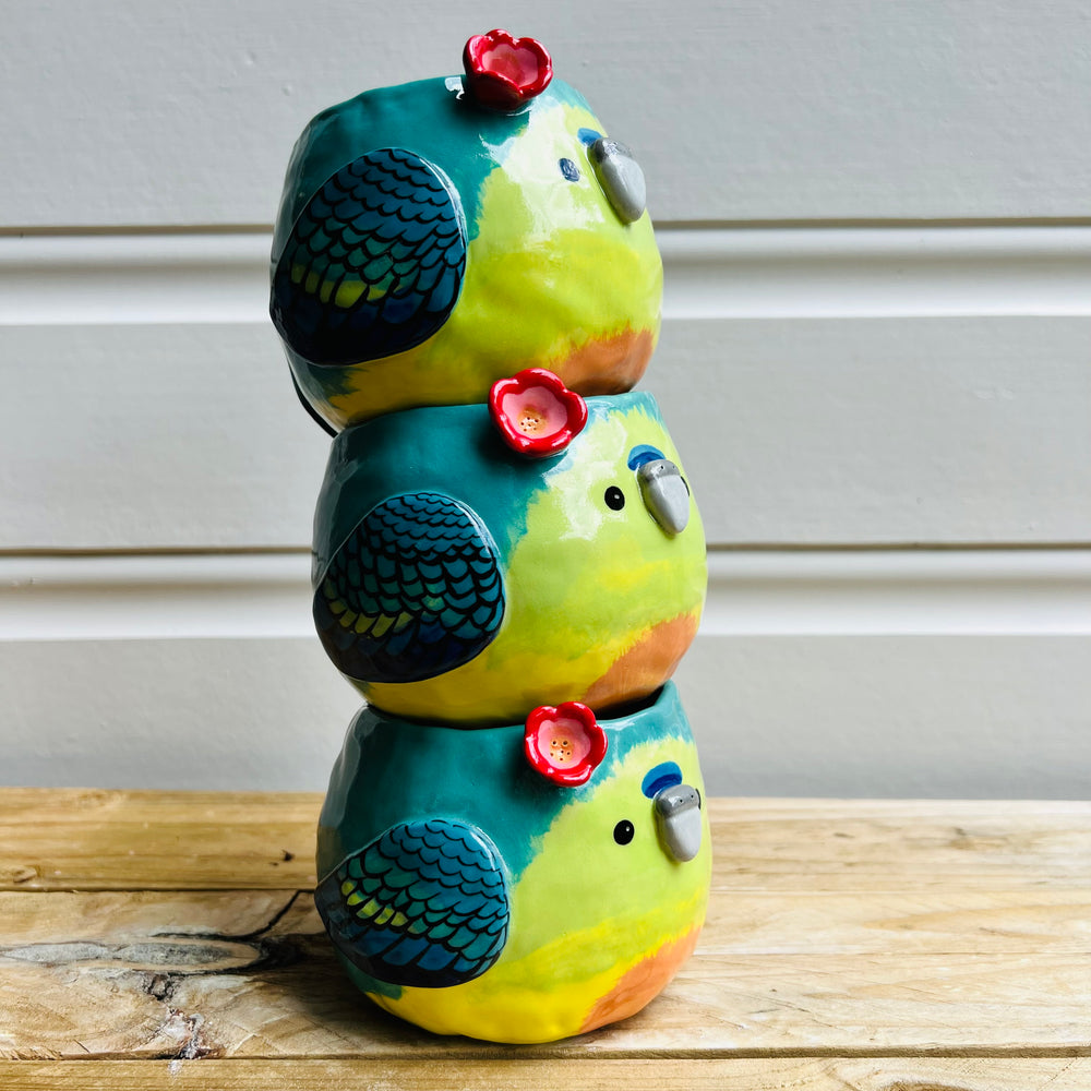 Orange Bellied parrot pot, photo 9 of 11