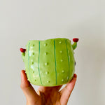 Flowery cactus pot with koala friend