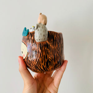 ‘Aussie Hope’ pot