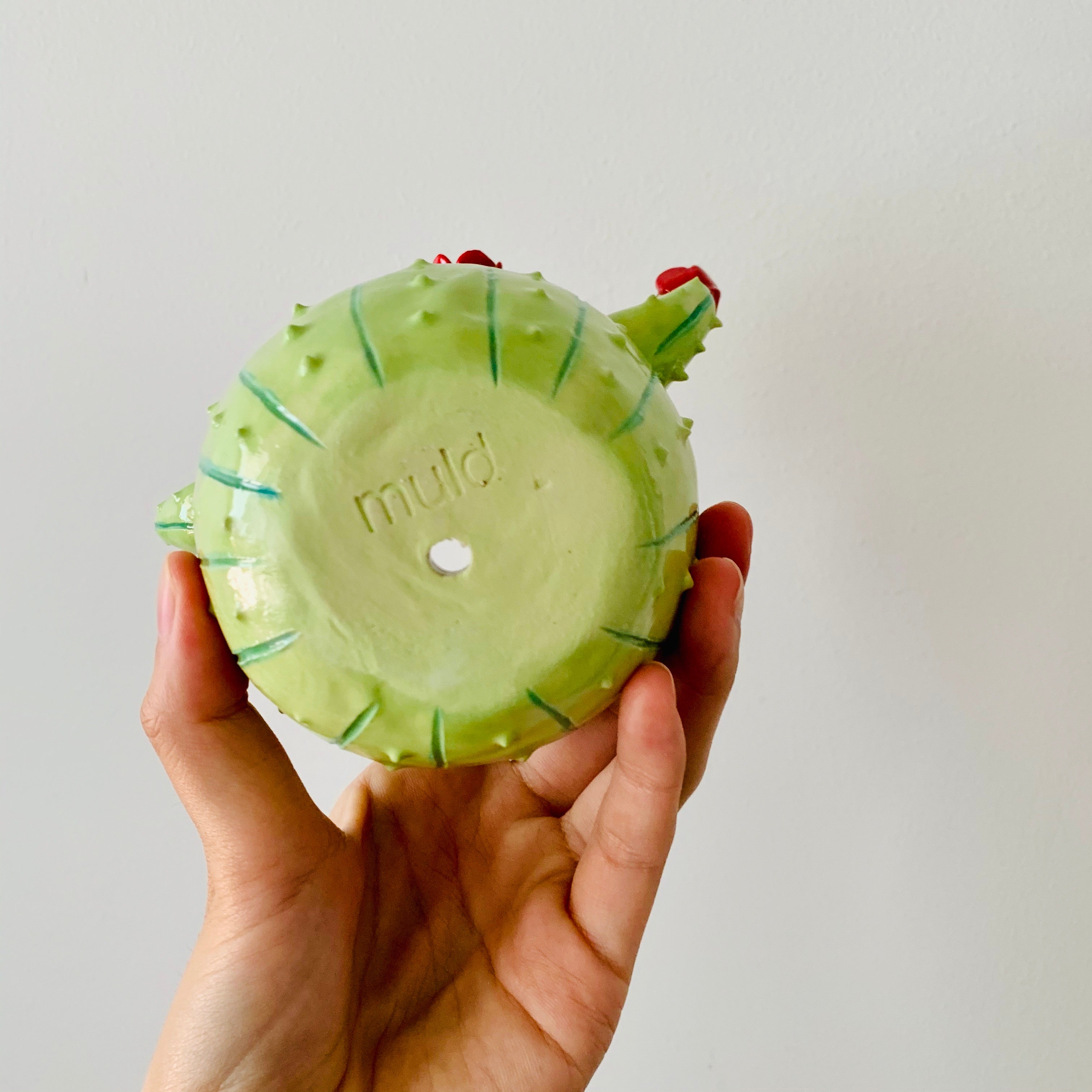 Flowery cactus pot