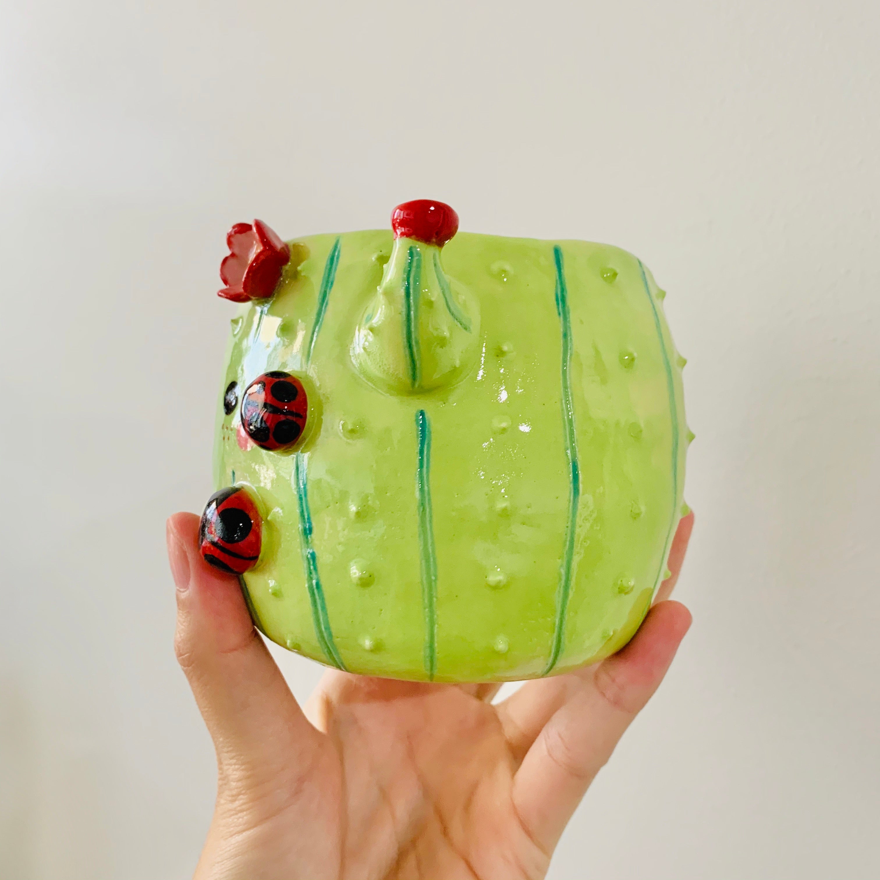 Flowery cactus pot with lady bug friends