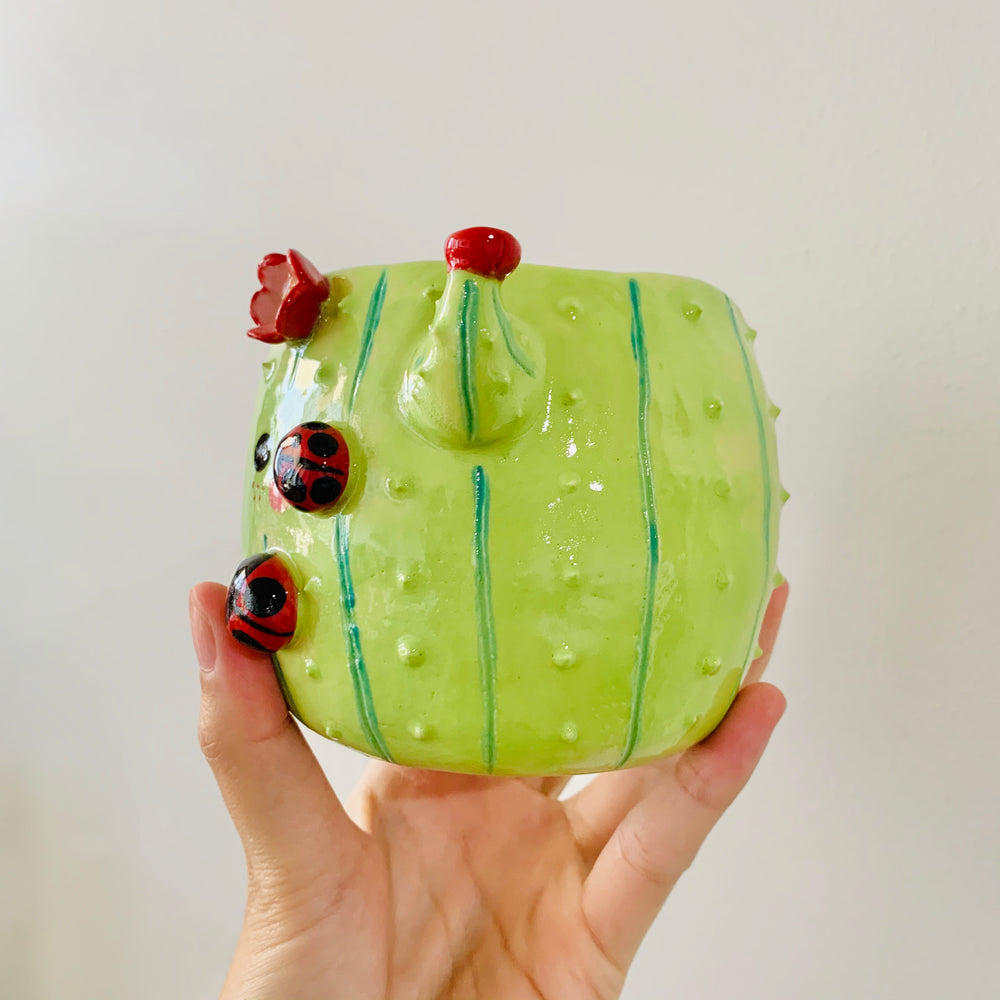 Flowery cactus pot with lady bug friends, photo 2 of 9