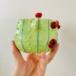 Flowery cactus pot with lady bug friends