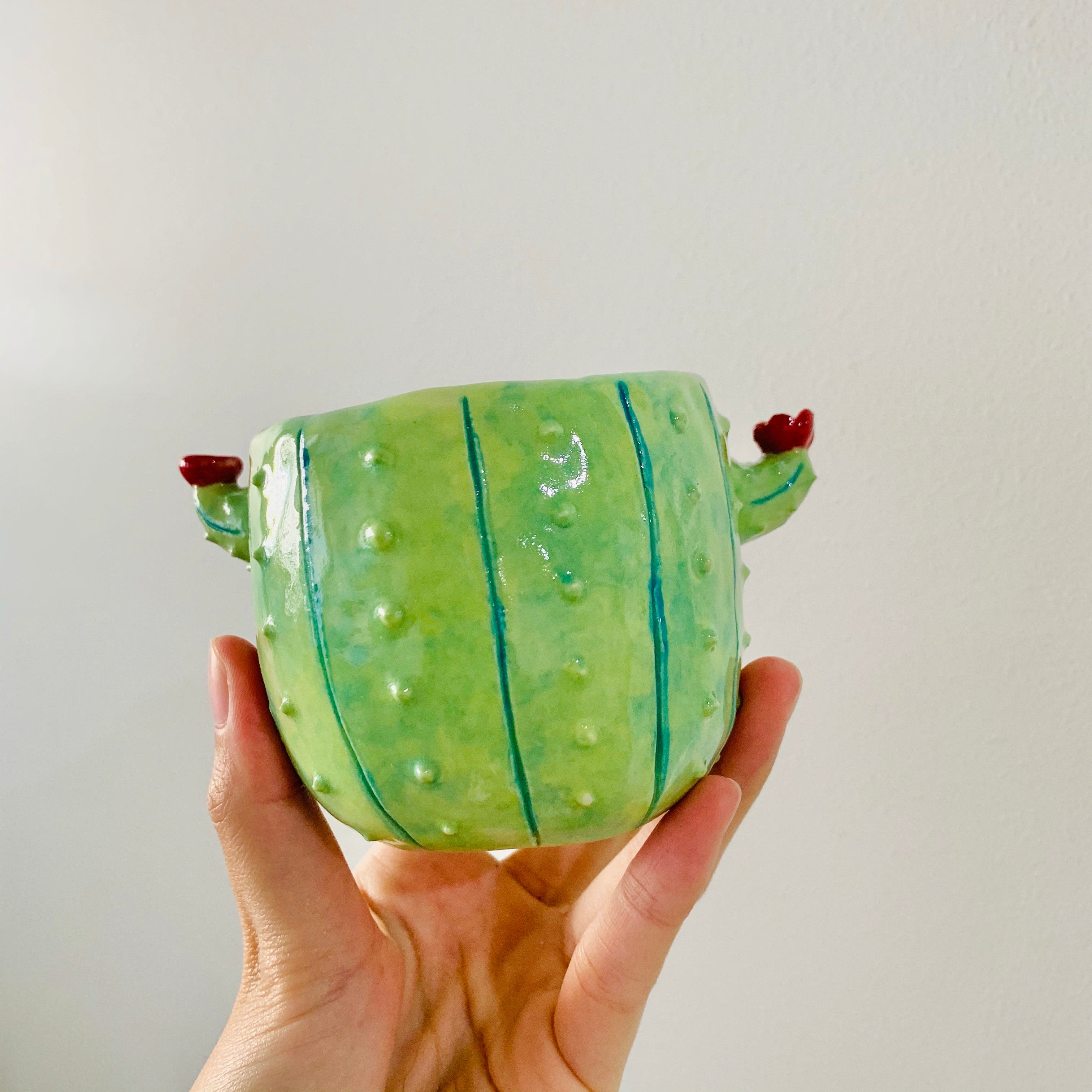 Flowery cactus pot with sloth friend