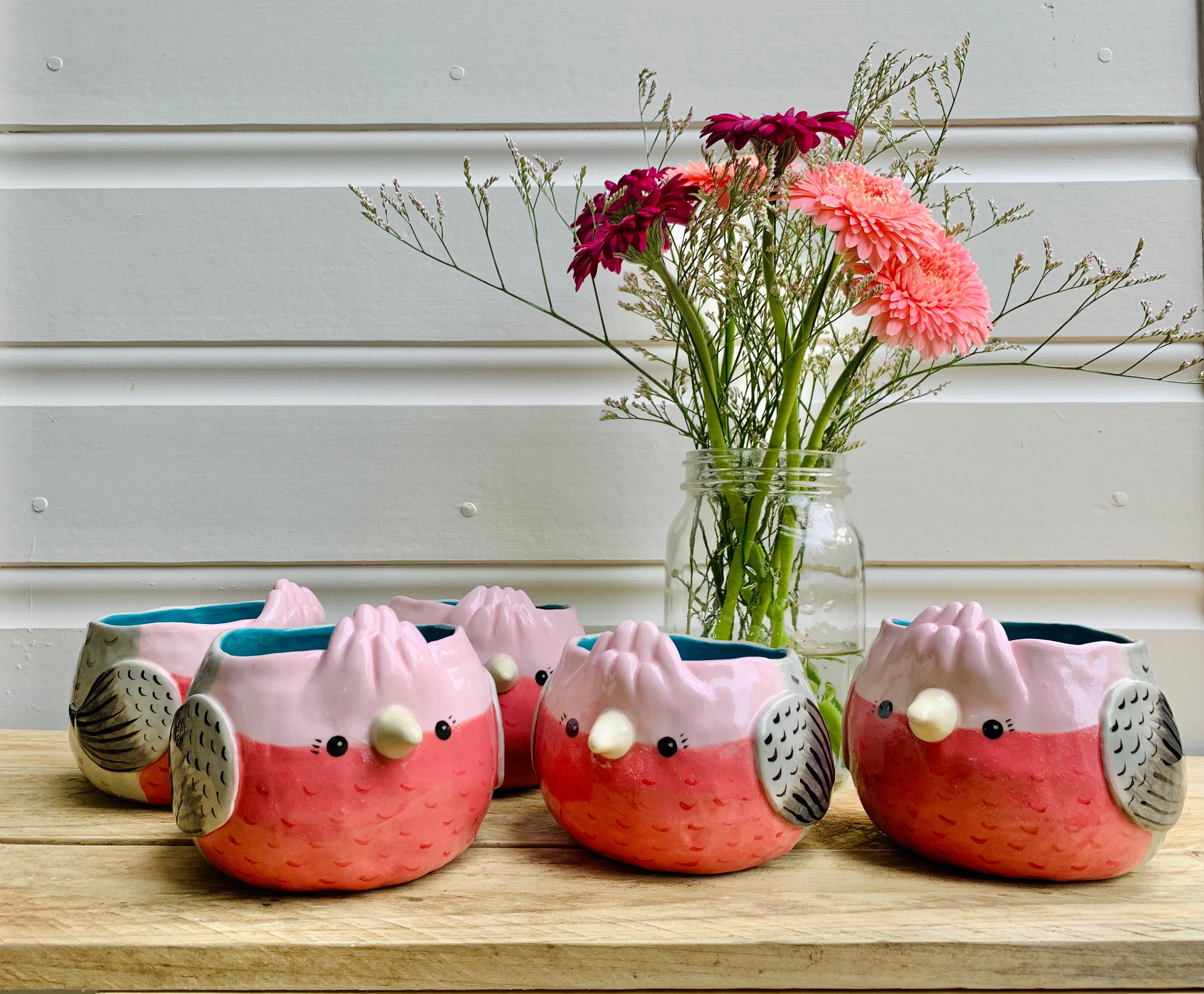 Pink Galah Pot