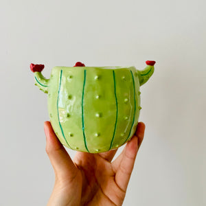 Flowery cactus pot